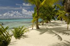 Our beach 