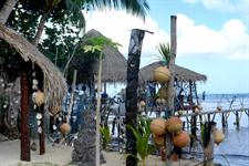 Black Pearl Farm 