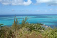 View from the Hills 