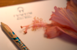 At Maitai Bora Bora we welcome your feedback