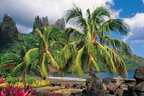 Stunning landscapes.  Image: Tahiti Tourism